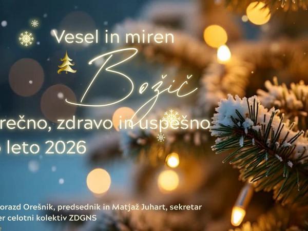 Gold and Blue Elegant Merry Christmas Video