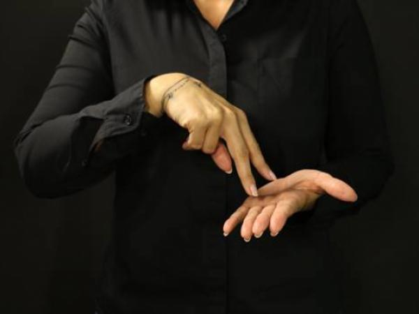 Tečaji slovenskega znakovnega jezika - pomladni rok